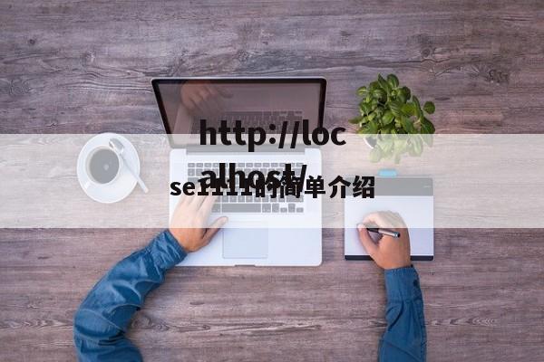 se1111的简单介绍
